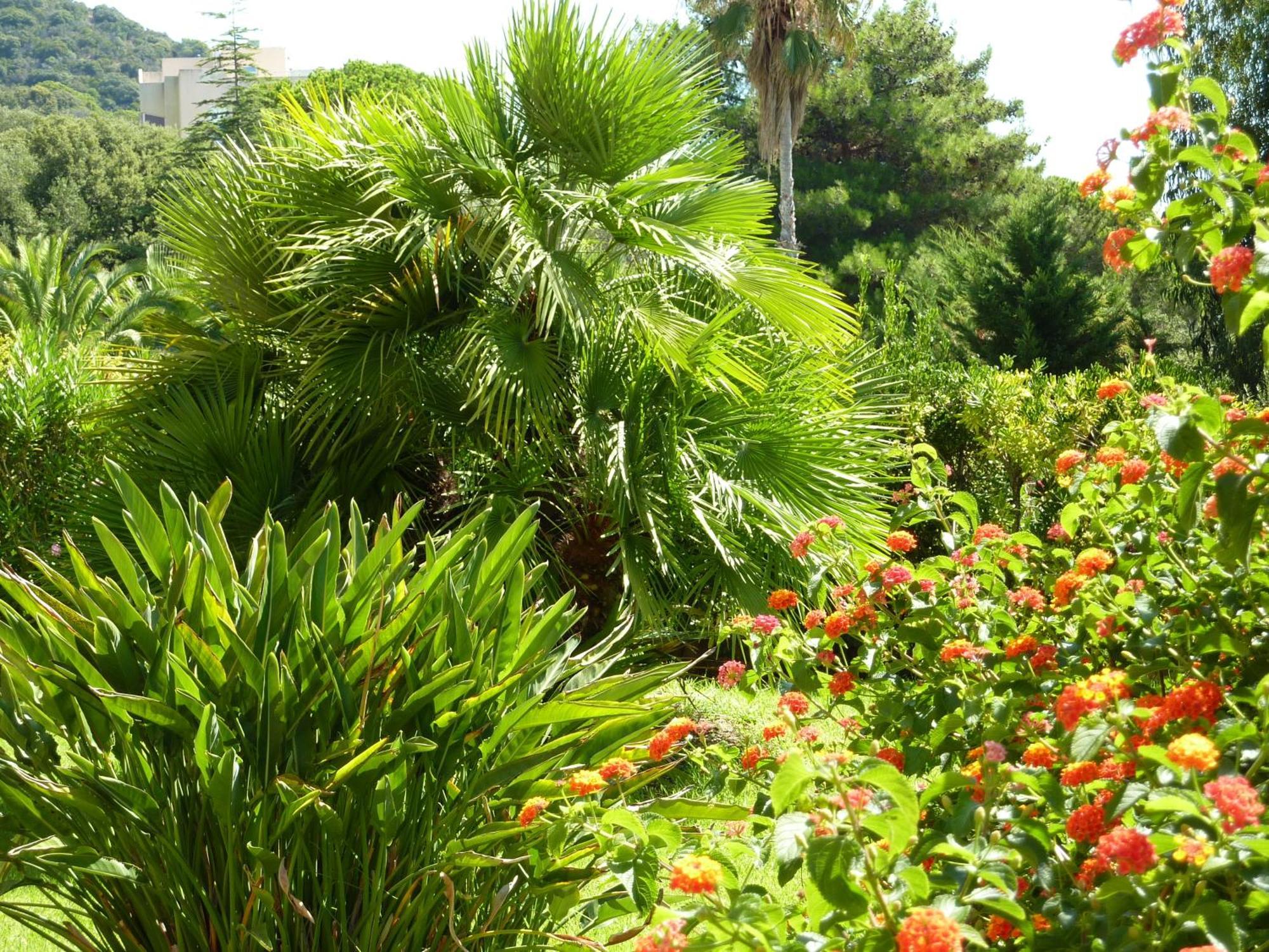 Hotel La Pinede Αζάτσιο Εξωτερικό φωτογραφία